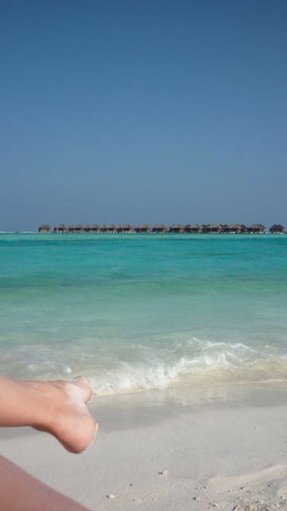 Beachlife Cinnamon Dhonveli Maldives