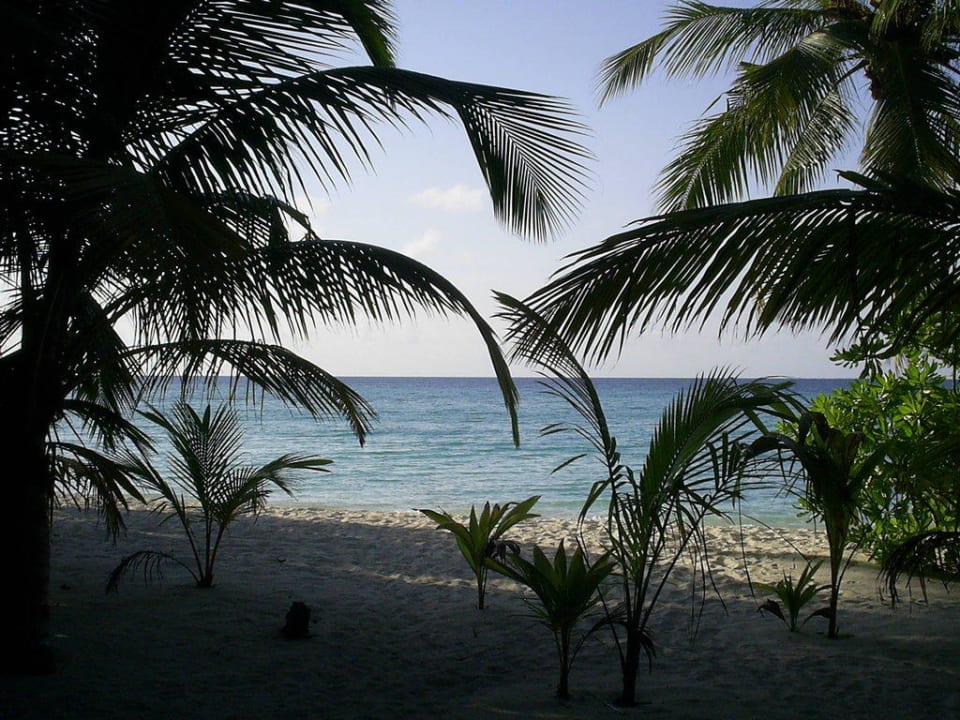 Vom Bungi zum Meer Kuramathi Maldives