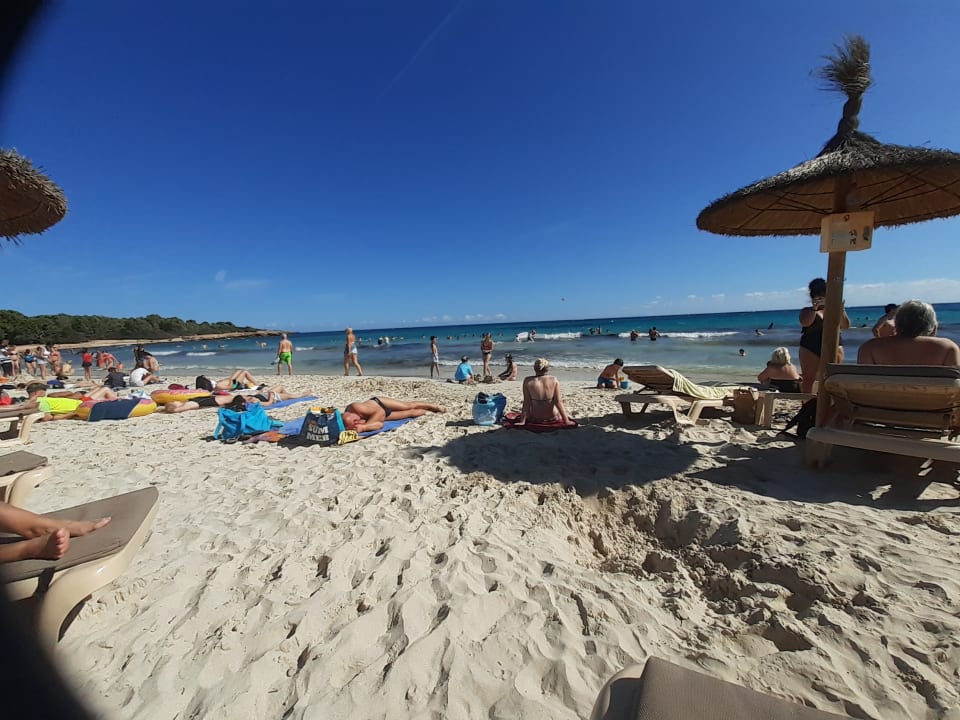 Strand Globales Bouganvilla