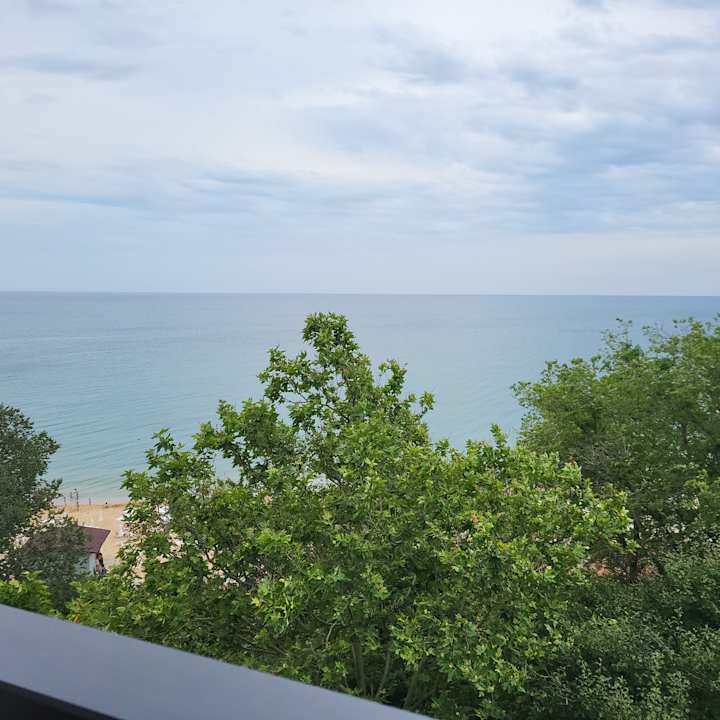 Ausblick GRIFID Vistamar