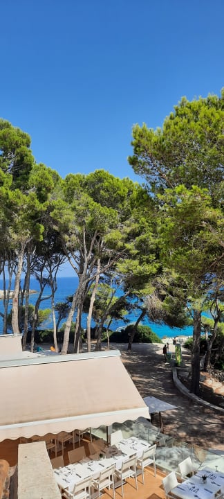 Ausblick Iberostar Waves Pinos Park