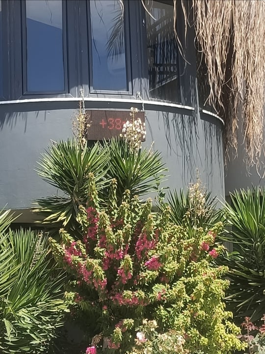 Gartenanlage Diamond De Luxe Hotel & Spa