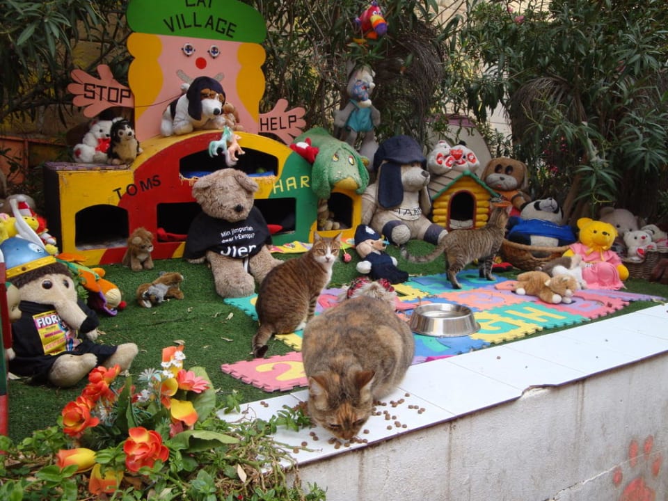 Cats Village Cavalieri Art Hotel