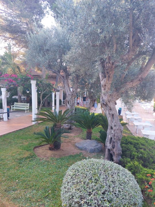 Gartenanlage Green Garden Aparthotel