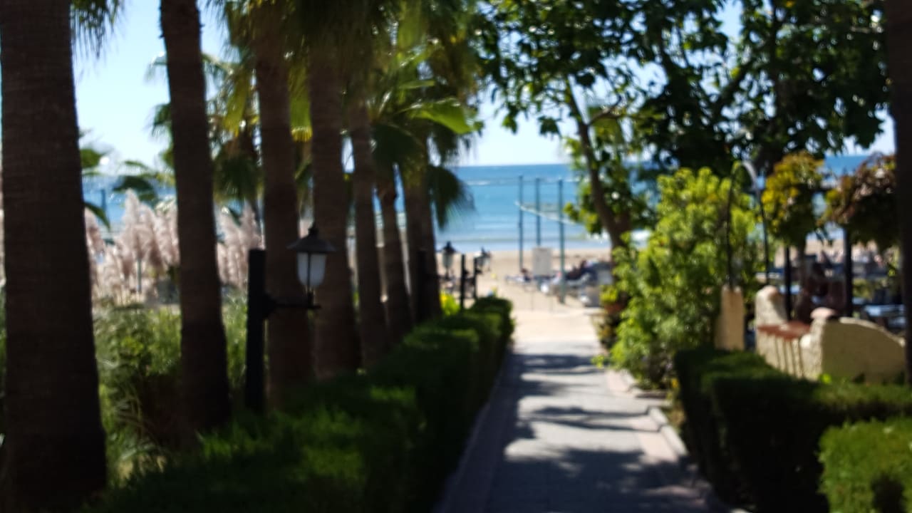 Gartenanlage Iz Flower Side Beach Hotel