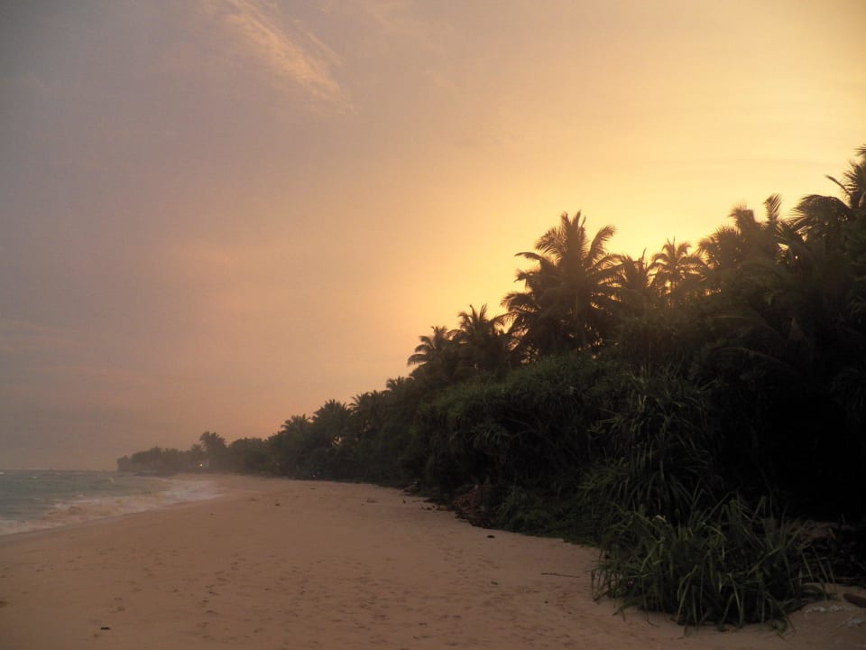 Sonnenaufgang Hotel Haus am Meer Wilde Ananas