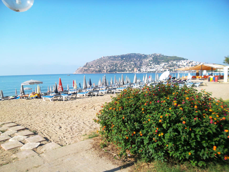 Hotel-Strand Nr.4 Eftalia Downtown Hotel