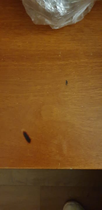 Zimmer Gran Hotel Flamingo