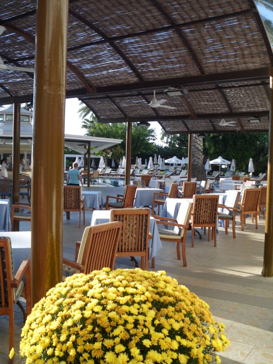 Terrasse TUI BLUE Pioneer Beach