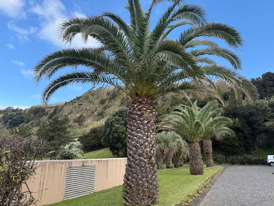 Außenansicht Pestana Bahia Praia Nature & Beach Resort