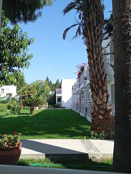 Gartenanlage Petunya Beach Resort