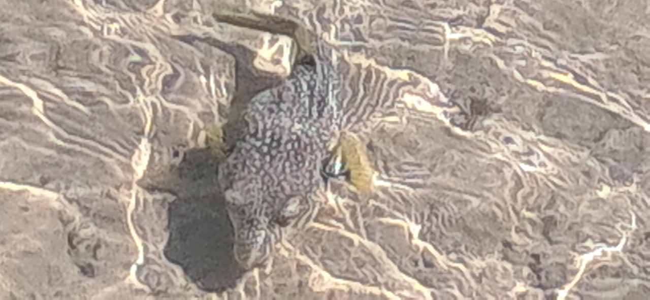 Sonstiges Stella Beach Resort & Spa Makadi Bay