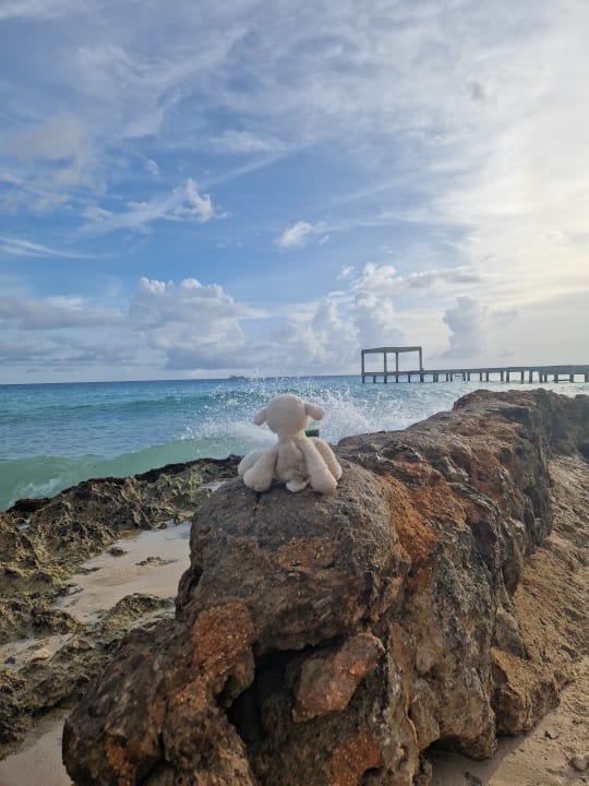 Ausblick Hotel Viva Dominicus Palace by Wyndham-All Inclusive Resort
