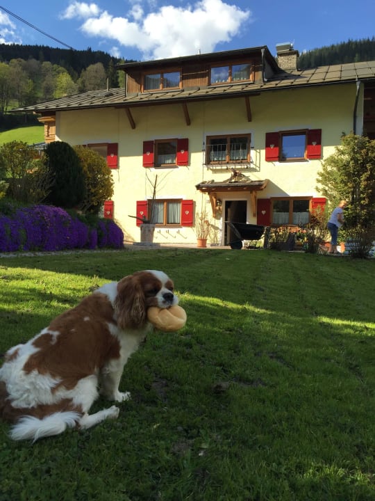 Hotelhund  Boutique Hotel Martha