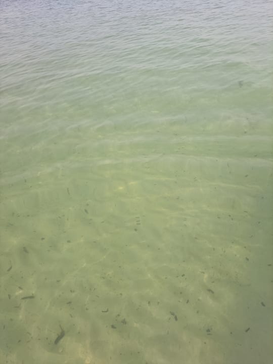 Strand MLL Palma Bay Club Resort