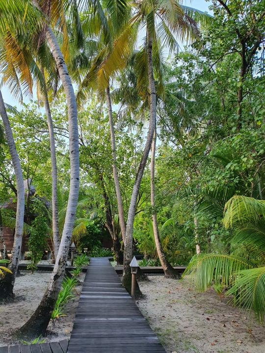 Gartenanlage Gangehi Island Resort