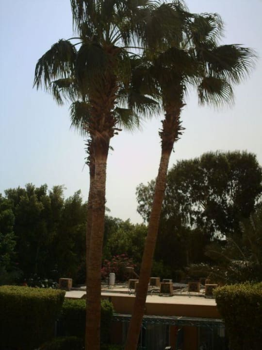 Ausblick vom Zimmr Giftun Azur Resort