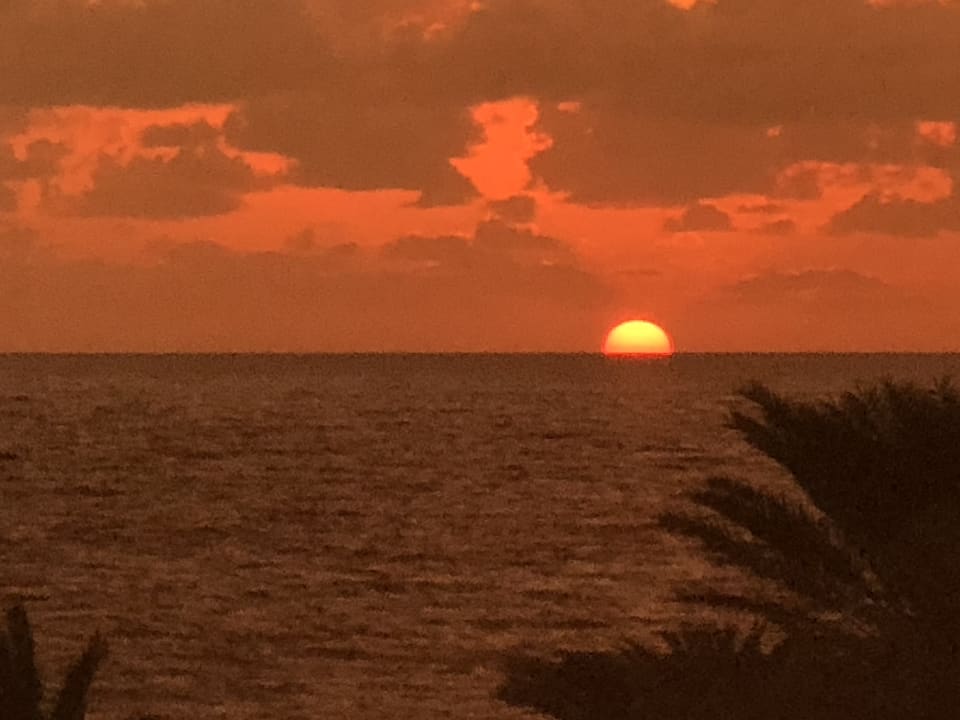 Ausblick Constantinou Bros Athena Royal Beach Hotel