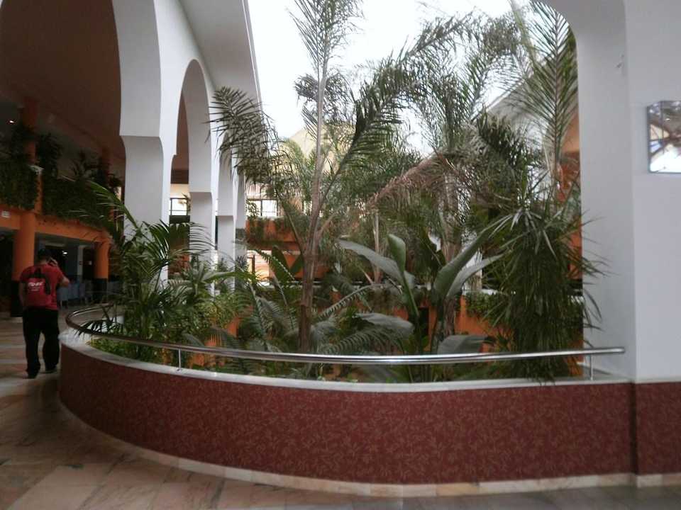 Amplia recepción Apartamentos Playamarina by Senator