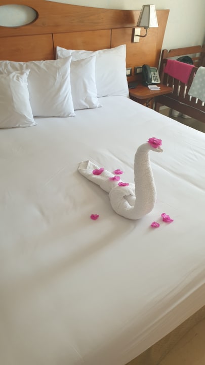 Zimmer Stella Garden Resort & Spa, Makadi Bay