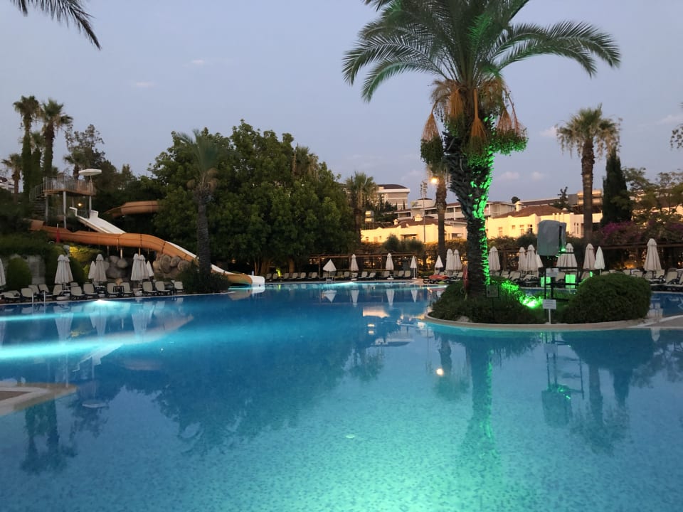 Strand Side Star Elegance