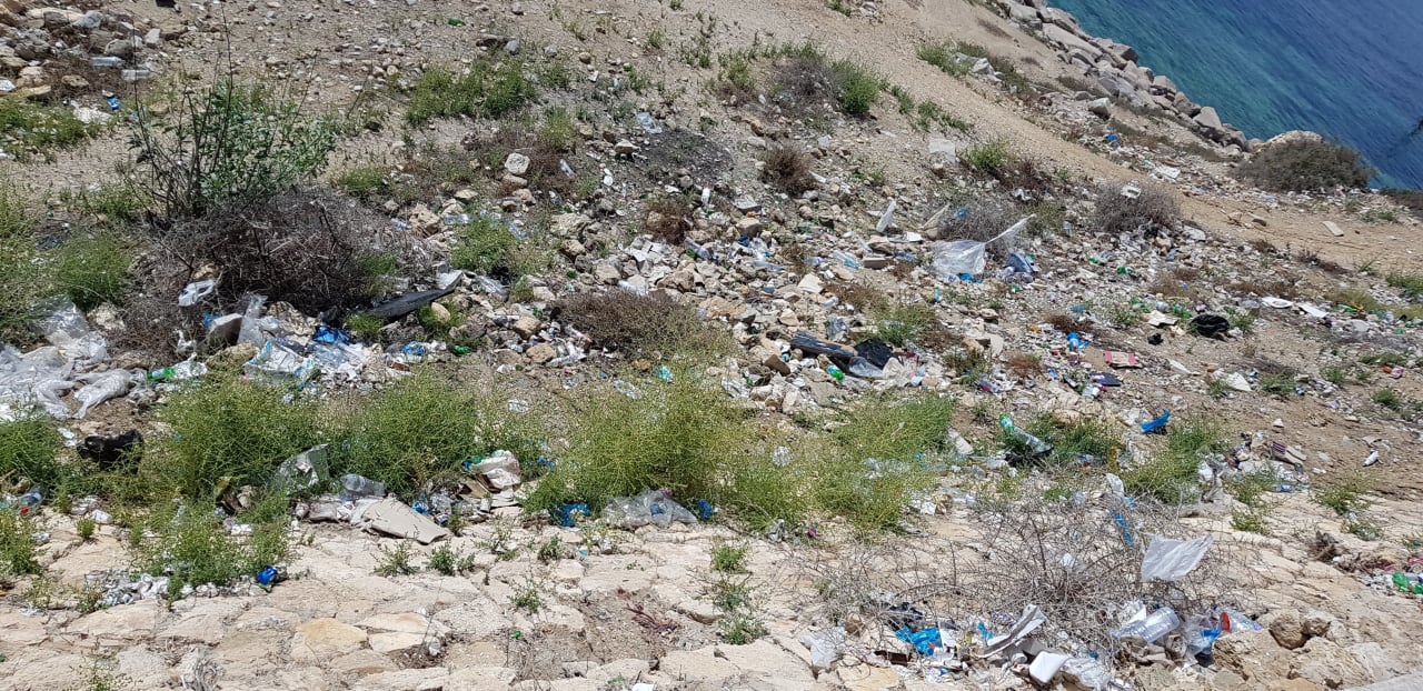 Gartenanlage Mahdia Beach & Aquapark