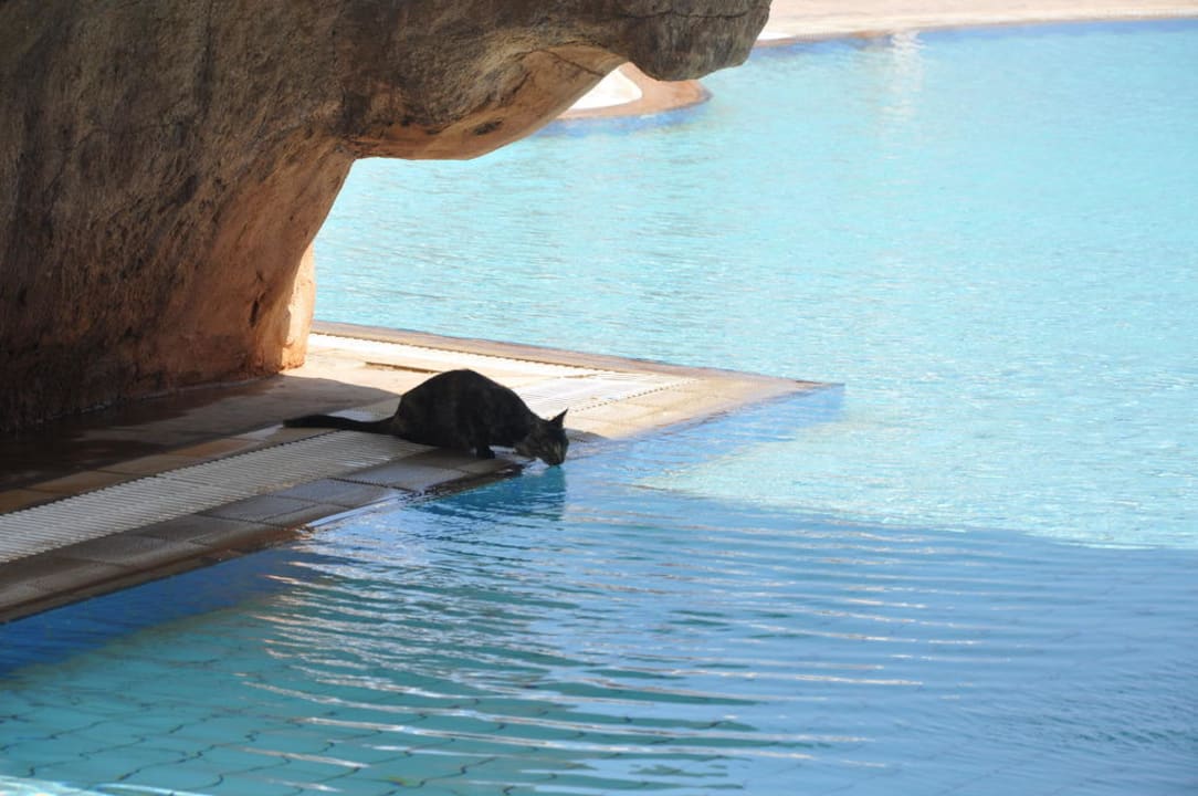 Nad basenem Piere Anne Beach Hotel