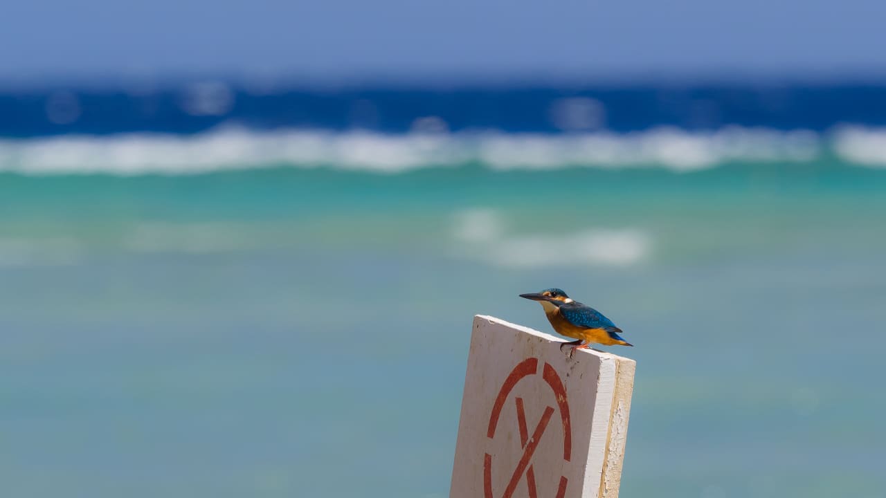 Sonstiges Makadi Spa - Adults only