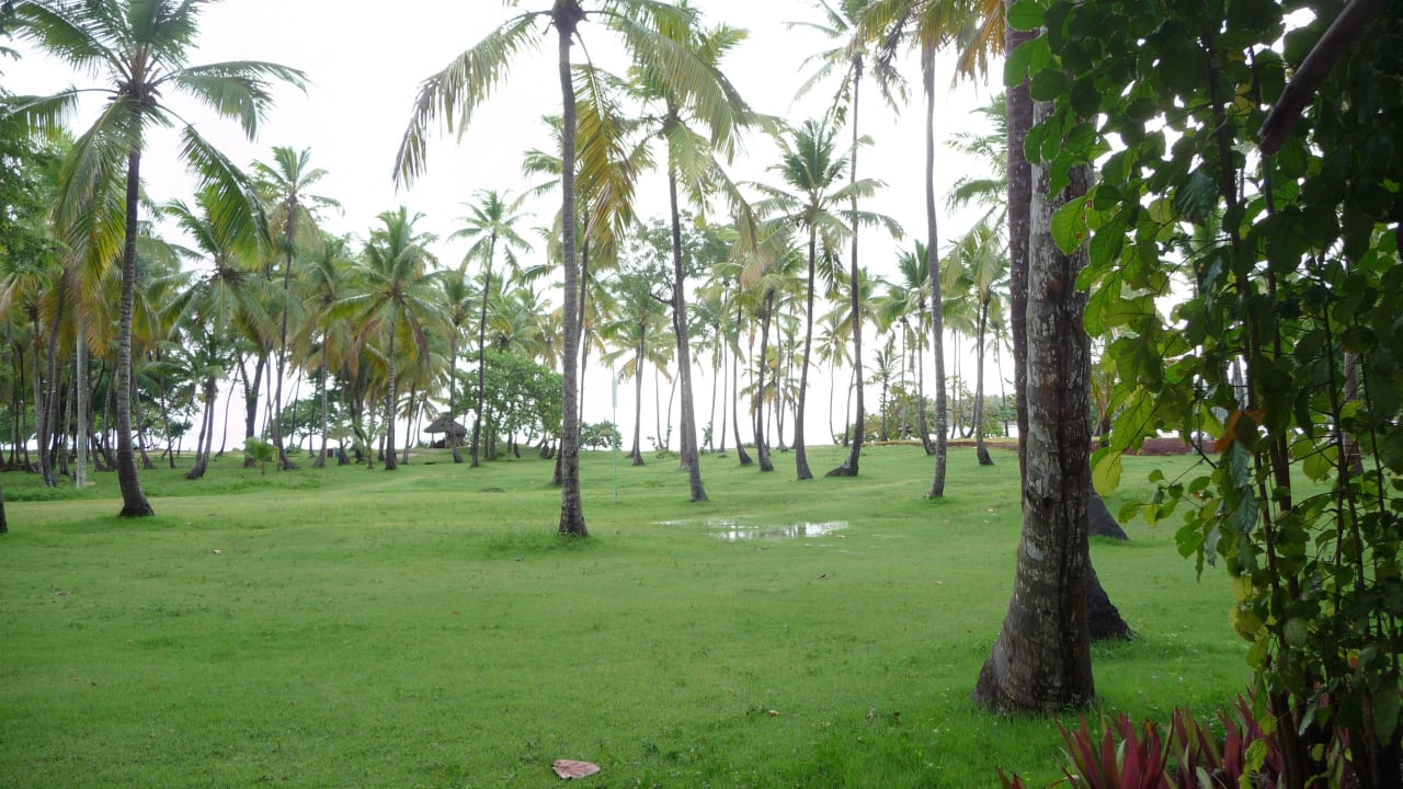 Blickvom Strandbungalow in Richtung Strand Wyndham Alltra Samana
