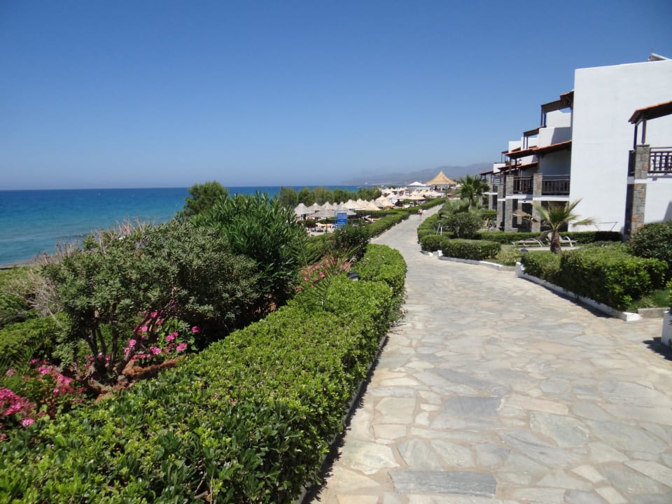 Weg zum Pool Alexander Beach Hotel & Village Resort