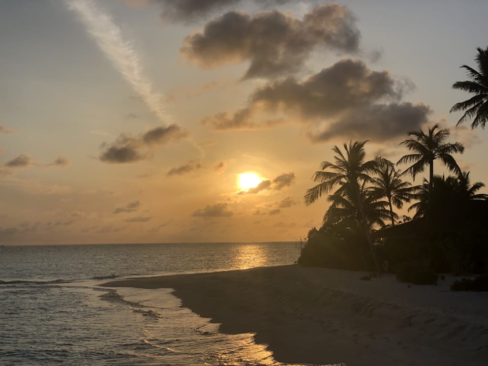 Strand The Standard Maldives