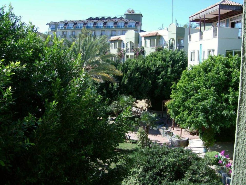 Gartenanlage Hotel Gardenia Beach