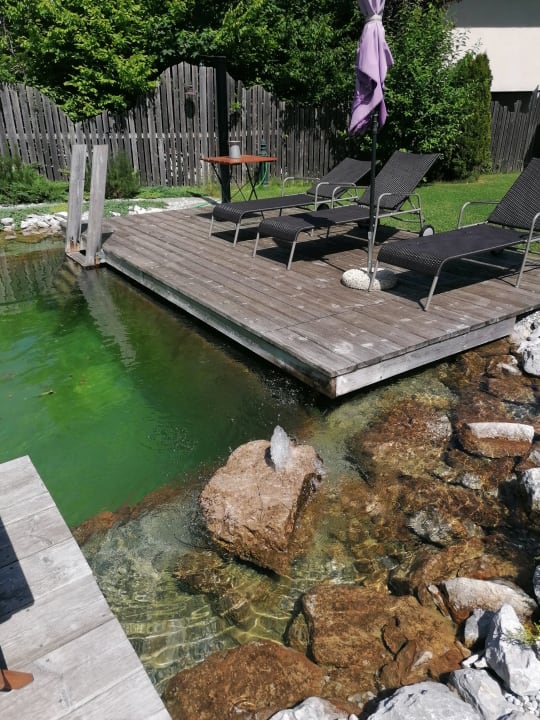 Pool Familien- & Vitalhotel Mühlpointhof