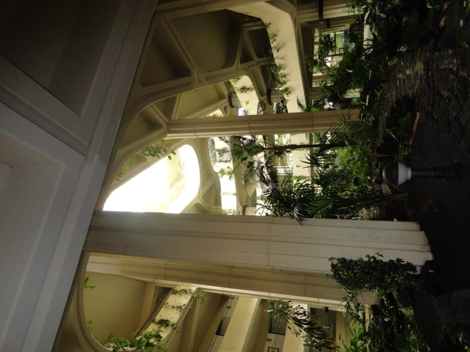 Begrünter Innenhof Paradisus by Meliá Salinas Lanzarote