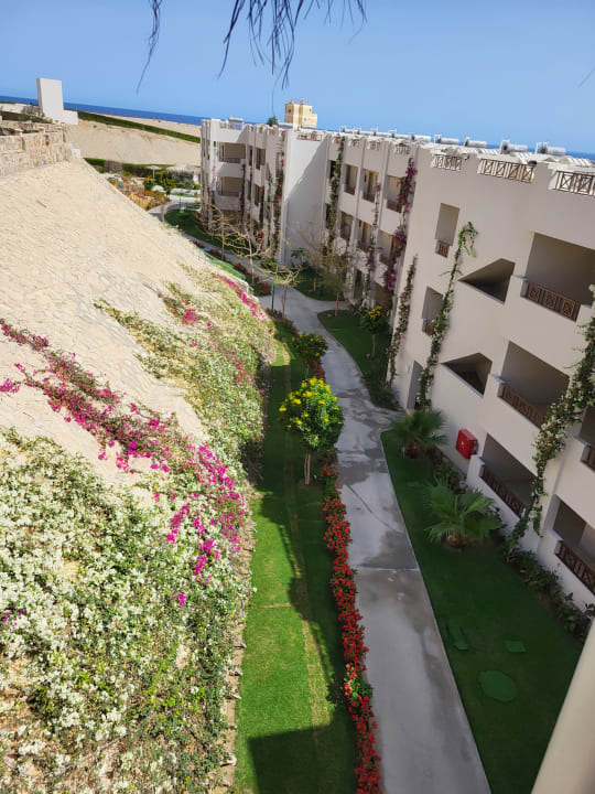 Gartenanlage Jaz Costa Mares (Adults Only)