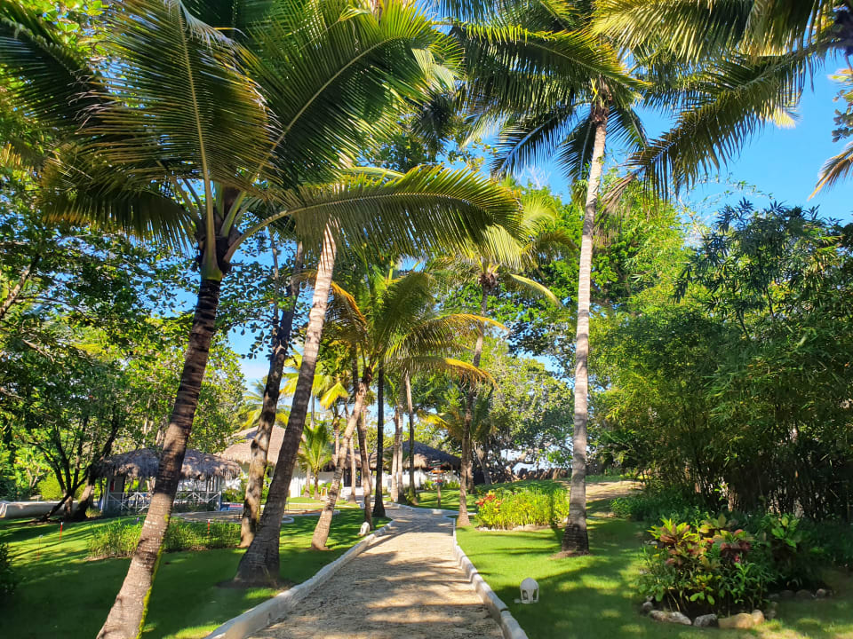 Gartenanlage Sunscape Puerto Plata