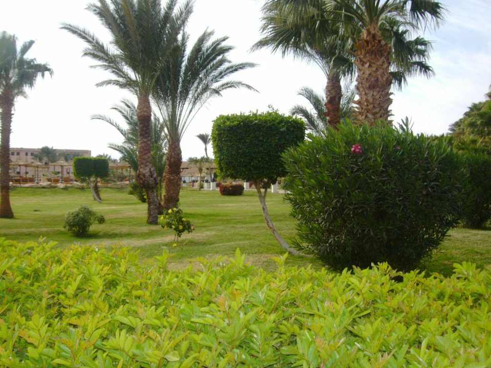 Gartenanlage Beach Albatros Resort