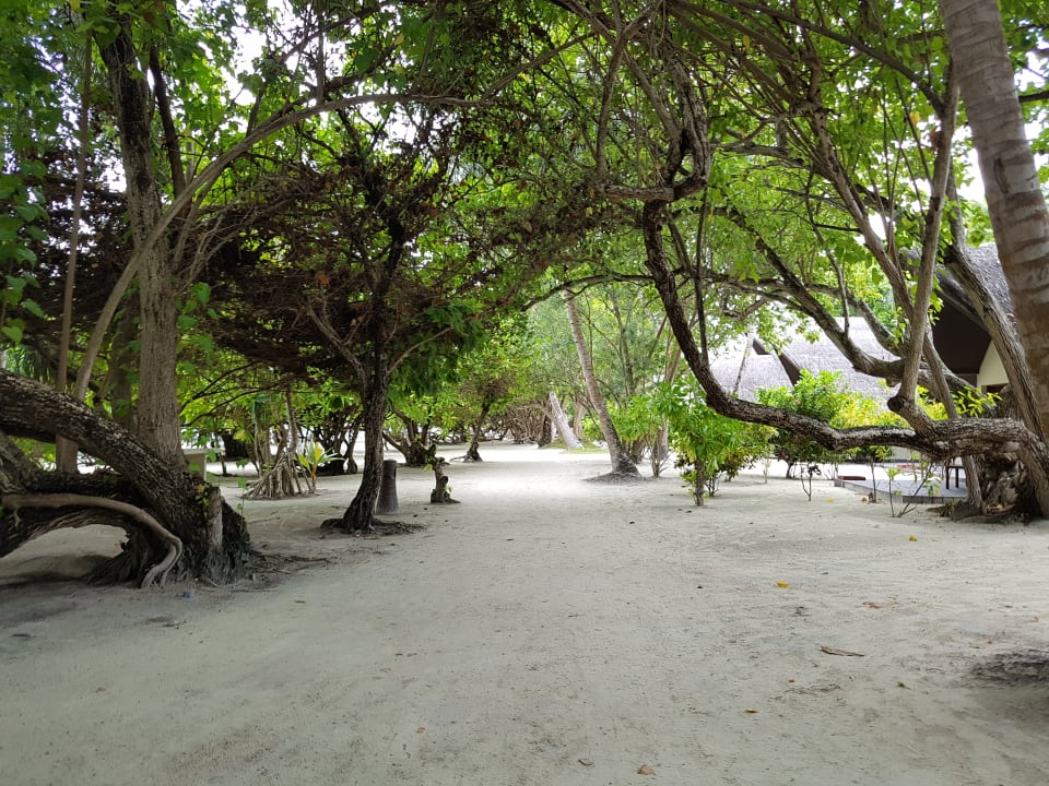 Gartenanlage Adaaran Select Hudhuran Fushi - Premium All Inclusive