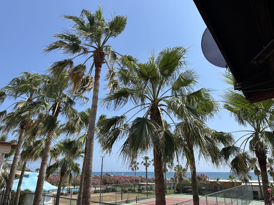 Ausblick Seher Kumköy Star Resort & Spa