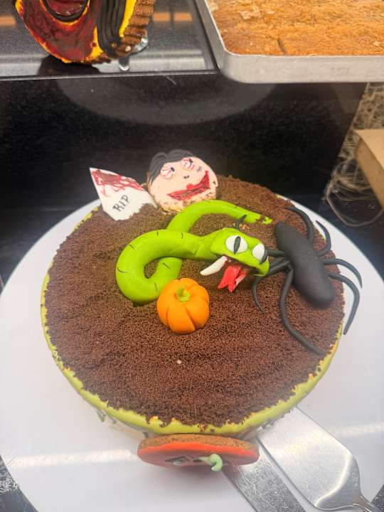 Gastro Seashell Vega