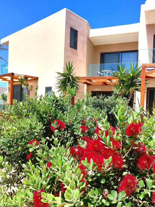 Außenansicht Cretan Beach Resort