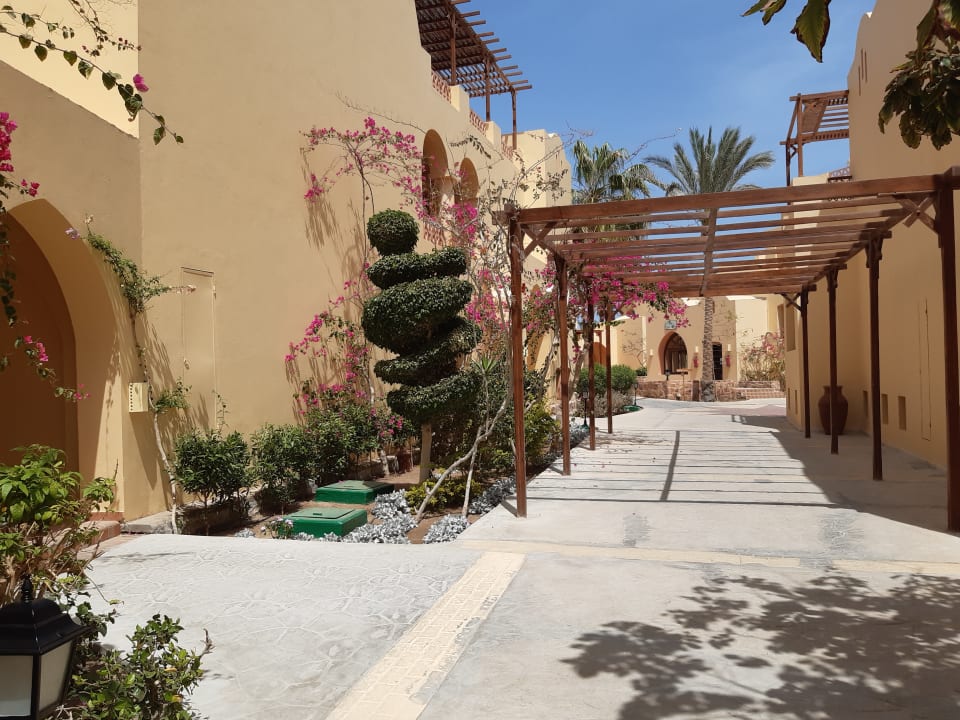 Gartenanlage Steigenberger Coraya Beach - Adults only