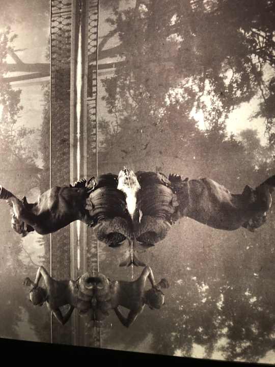 Decke im Fahrstuhl Hotel Mansion On Forsyth Park