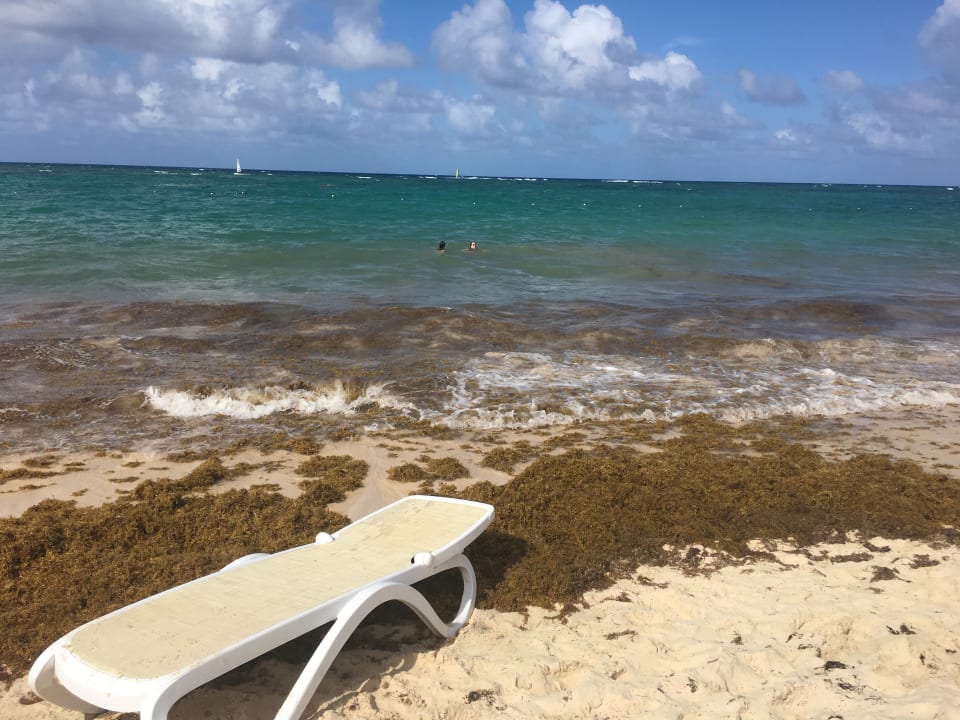 Strand Hotel Riu Bambu