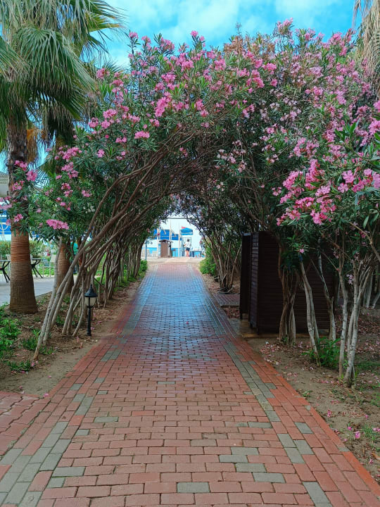 Strand Seaden Sea World Resort & Spa