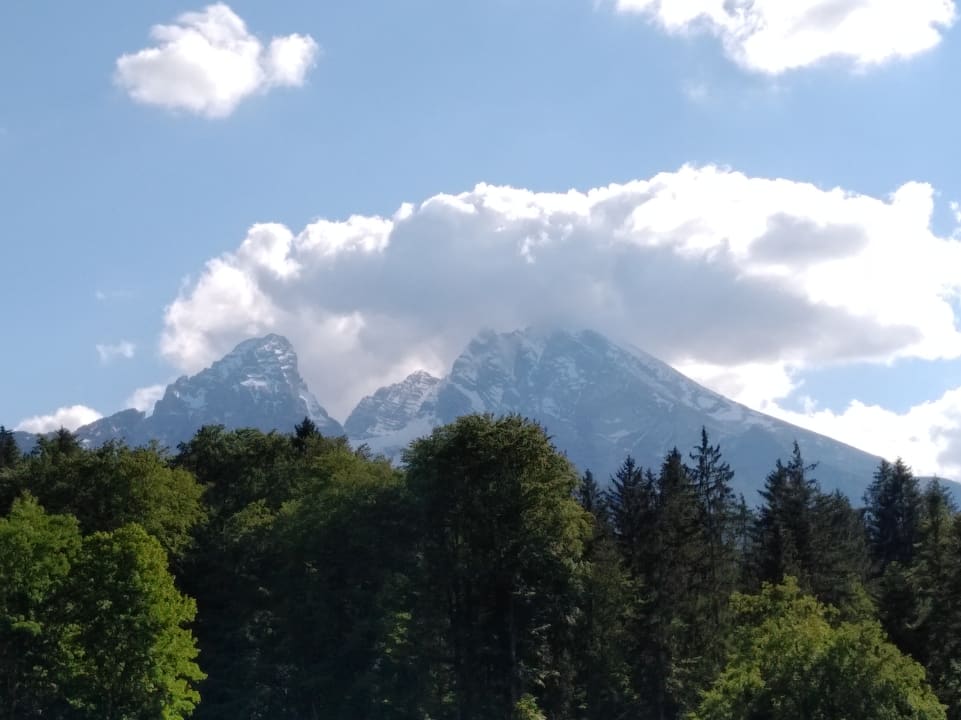 Ausblick Alm- & Wellnesshotel Alpenhof