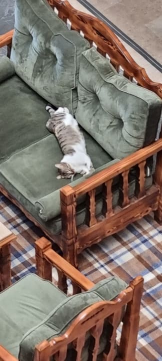 Sonstiges Nerton Hotel - Erwachsenenhotel ab 16 Jahren