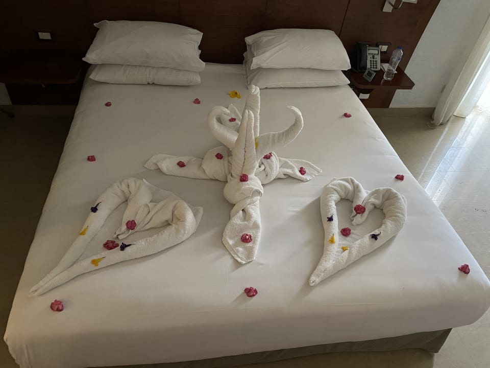 Zimmer Stella Garden Resort & Spa, Makadi Bay