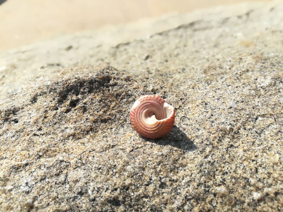 Strand The Briza Beach Resort Khaolak