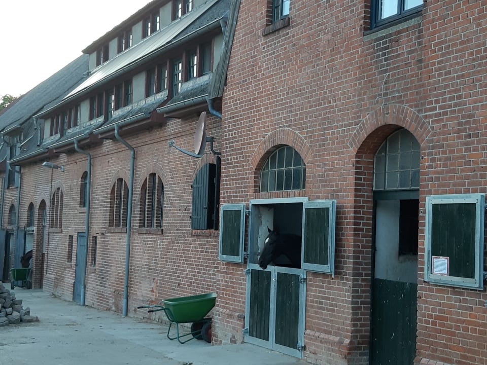 Außenansicht Ferien & Pferdehof Gut Klein Nienhagen